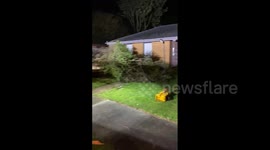 Australia: Storm With Damaging Winds Batters Victoria Overnight