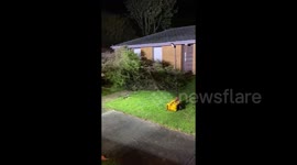 Australia: Storm Downs Tree In Melbourne