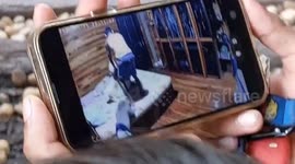 Student, 18, mauled to death by three American Bully hell hounds in Thailand