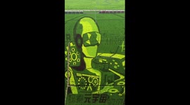 Exquisite paddy field artwork impresses in northern China