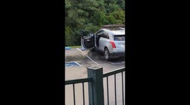Black bear enters car in Gatlinburg resort parking lot