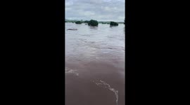 Ducks ride tin roof through floods in Thailand