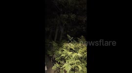 Australia: Storm With Damaging Winds Batters Victoria Overnight 2