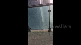 Australia: Hail Brought By Wild Weather Hits Melbourne 3