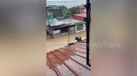 Kind neighbour saves stray dog trapped in storm Yagi flash flood in the Philippines