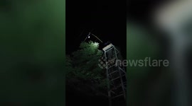 Owl rescues from 33kV high-tension wire 100 feet above ground in central India