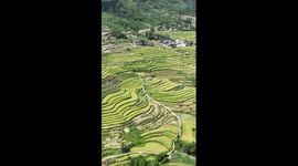 Autumn scenery of rice terraces in China's Guizhou