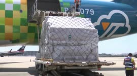 China: Chinese airlines add more int'l freight routes amid soaring cargo demand