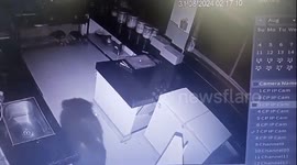 Wild bear rummages through hotel kitchen in India