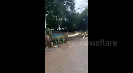 Philippines: Tropical Storm Yagi Dumps Heavy Rain Leaving Multiple Dead 4