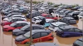Around 300 brand New Cars and some are under servicing are under submerged in floods, Vijayawada, Andhra Pradesh