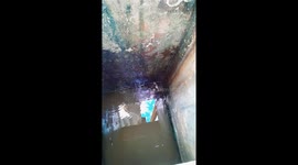 Resident rescued kitten stuck in sewer