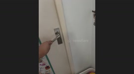 Security guard removes monitor lizard from family's bathroom