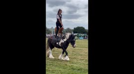 Dog And Liberty Trainer Ride Standing On Horse