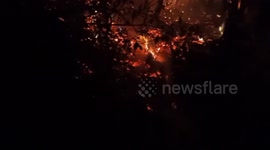 Forest fires in Ecuador have already consumed 7,600 hectares