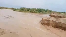 293 killed, 564 injured in monsoon rain-related accidents in Pakistan