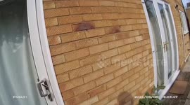 Police raid cannabis factory in sleepy village in Cambridgeshire