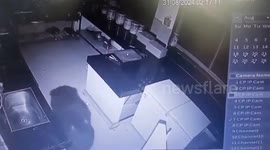 Bear breaks into hotel kitchen to search for food in India