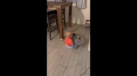 10-Month-old baby caught eating dog food in Queen Creek, Arizona