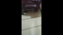Fish swim through flooded home in the Philippines