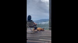 Sleepy pet dog rolls over... almost falling down cliff