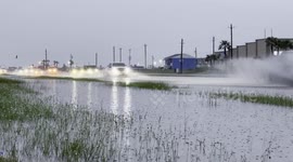 Flash Flood in Nueces TX, USA