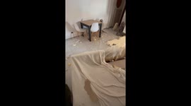 Naughty Labrador Makes a Huge Mess