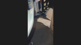 Mouse Makes Men Panic