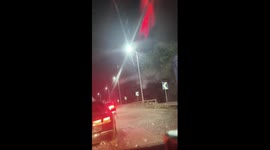 Moths swarm around road forming blanket like snow
