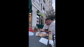 Dogs Interrupt Outdoor Diners