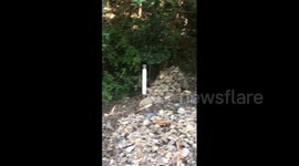 Japan: Mudslide In Kanagawa After Tropical Storm Shanshan Hits