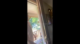 Hilarious prank on Memaw involving Trump sign gets 6 million views on tiktok