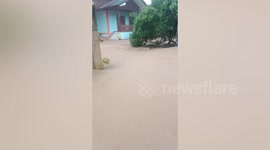 Flash flood surges through homes in northern Thailand