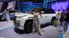 China: BYD's Rank Among The Top Three in The World