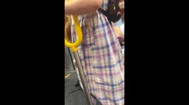 New York subway passenger carries giraffe head