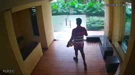 Teenager being chased by dogs breaks glass door as he tries to flee