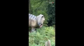 Boy's dinosaur adventure at Hertfordshire Zoo becomes unforgettable in the funniest way
