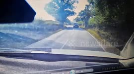 Shocking moment driver hits deer - sending it flying across the road