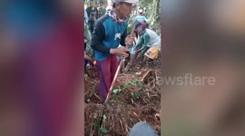 Grandmother, 57, killed by huge python while working on farm in Indonesia