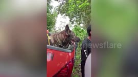 Sniffer dogs join search for French boy, 14, missing on mountain in Bali