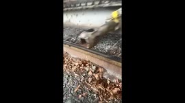Putting a penny on the train tracks and watching it get flattened by a train