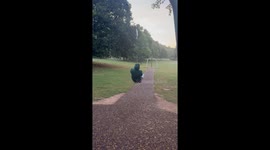 Dachshund Bravely Chases Zipline