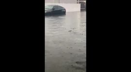 Cars stranded, roads closed due to widespread flooding across Tampa Bay Video