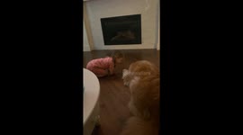 Trying to Convince the Family Dog to Talk