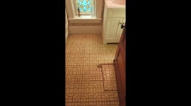 Man Finds Hidden Trap Door in Bathroom