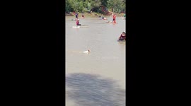 Lost pet dog swims through fishing lake looking for owner