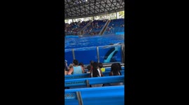 Dolphin soaks spectators at SeaWorld Orlando
