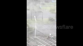 Trees pushed to their limit by strong winds as Super Typhoon approaches southern China