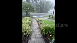 US Weather: Heavy Rain Floods Tampa Roads