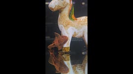 Catfish cleans unicorn in the aquarium, gains over 6 million views on TikTok